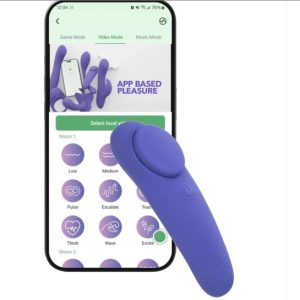 Connect App Controlled Panty Teaser Vibe