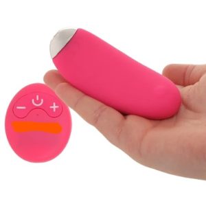 Remote Control Panty Vibe in Pink